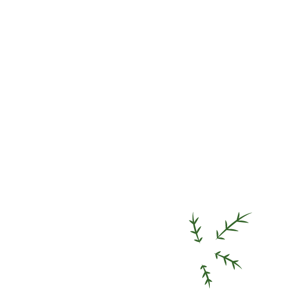 Casa Crisol